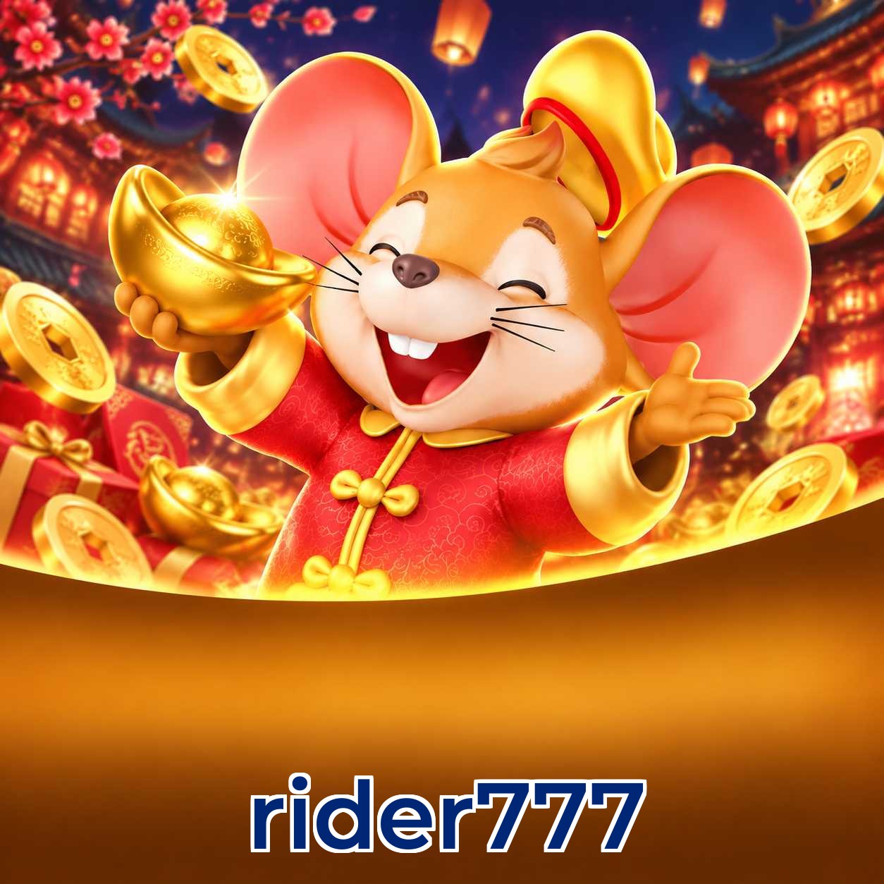 rider777 Installation Guide